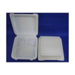 EB-93956 8inch Biodegradable Clamshell