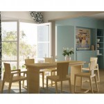 Bamboo Dining Table Set (EB-91359)