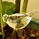 Glass Bird Plant Feeder (EB-84350)