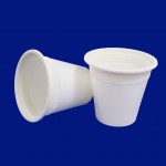 6oz Biodegradable Cup (EB-93552)