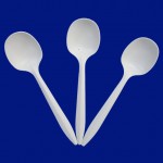 6inch Biodegradable Soup Spoon (EB-93566)